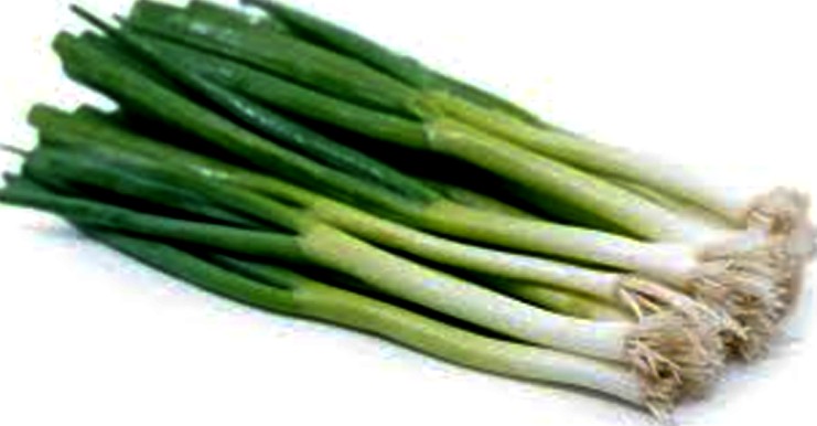  Spring Onion/ Green Onion