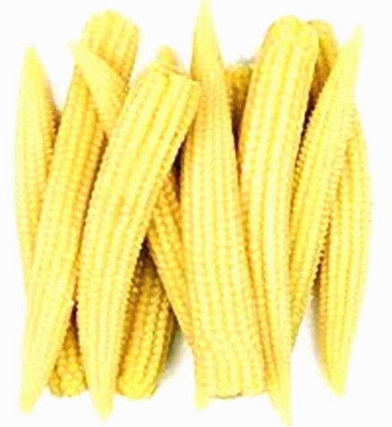 Baby Corn (1 Packet) 