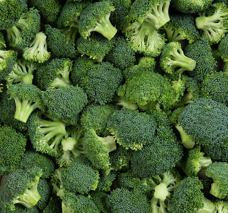 Brocolli Broccoli