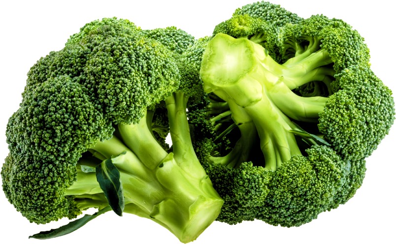 Brocolli Broccoli 2