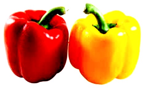 Red Yellow Capsicum 2